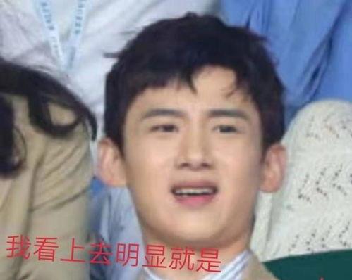 娱乐吃瓜蜀黍白敬亭,娱乐吃瓜蜀黍的甜蜜与苦涩